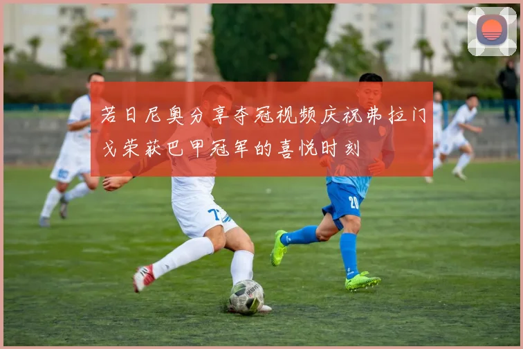 若日尼奥分享夺冠视频庆祝弗拉门戈荣获巴甲冠军的喜悦时刻