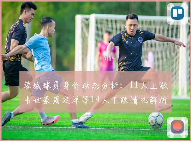 蓉城球员身价动态分析：11人上涨韦世豪周定洋等14人下跌情况解析